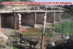 BULDAN’DA SAHİPSİZ KÖPEKLER İÇİN YENİ BARINAK