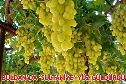 BULDAN’DA ‘SULTANİYE’ YÜZ GÜLDÜRDÜ