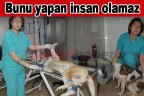 Bunları yapan insan olamaz
