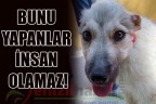 BUNU YAPANLAR İNSAN OLAMAZ!