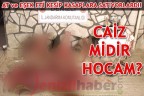 CAİZ MİDİR HOCAM?