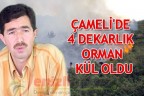 Çameli’de 4 dekarlık orman kül oldu