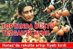 CENNET ELMASINDAKİ FİYAT DÜŞÜŞÜ TEZGAHA YANSIMADI