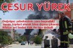CESUR YÜREK