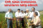 CHP, tütün üreticisinin sorunlarını takip edecek