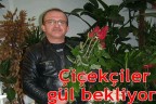 Çiçekçiler gül bekliyor