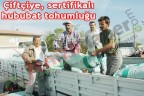 Çiftçiye, sertifikalı hububat tohumluğu
