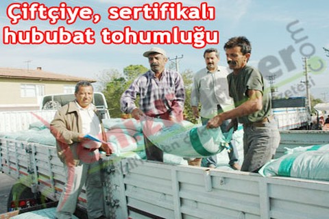 Çiftçiye, sertifikalı hububat tohumluğu