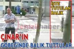 ÇINAR’IN GÖBEĞİNDE BALIK TUTTULAR
