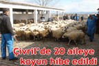 Çivril’de 20 aileye koyun hibe edildi