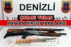 ÇOBANI VURAN HAYVAN HIRSIZI YAKALANDI