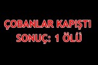 ÇOBANLAR KAPIŞTI SONUÇ: 1 ÖLÜ