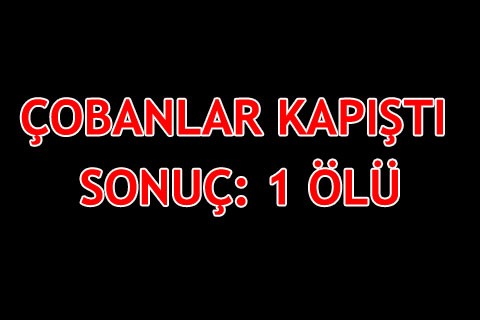 ÇOBANLAR KAPIŞTI SONUÇ: 1 ÖLÜ