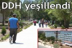DDH yeşillendi