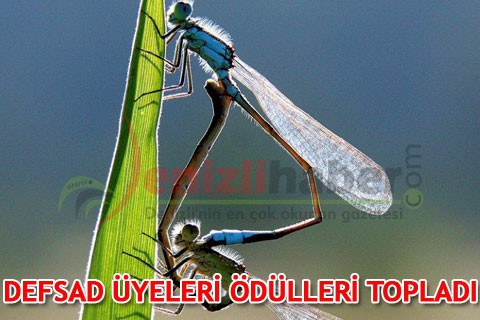 DEFSAD ÜYELERİ ÖDÜLLERİ TOPLADI