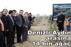 Denizli-Aydın arasına 14 bin ağaç