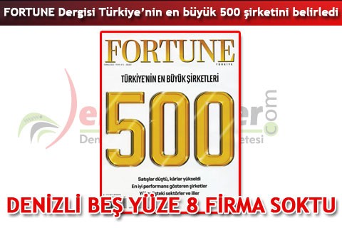 DENİZLİ BEŞ YÜZE 8 FİRMA SOKTU