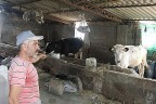 Denizli’de şap alarmı!