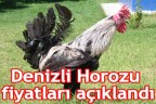 Denizli Horozu fiyatları açıklandı