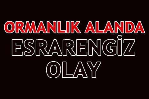 DENİZLİ’DE DAĞLIK ALANDA KEMİK VE GİYSİ PARÇALARI
