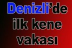 Denizli’de ilk kene vakası