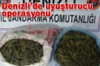Denizli’de uyuşturucu operasyonu