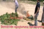 Denizli’de uyuşturucu operasyonu