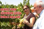 DENİZLİ’DEN SÜPERİOR ÜZÜM İHRACI BAŞLADI