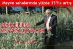DENİZLİLİLER MEYVEYE DOYACAK