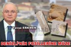 DENİZLİ’NİN FOSİLLERİNE MÜZE