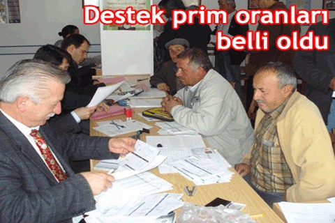 Destek prim oranları belli oldu