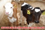 DESTEKLEMELER İÇİN MÜRACAATLAR BAŞLADI