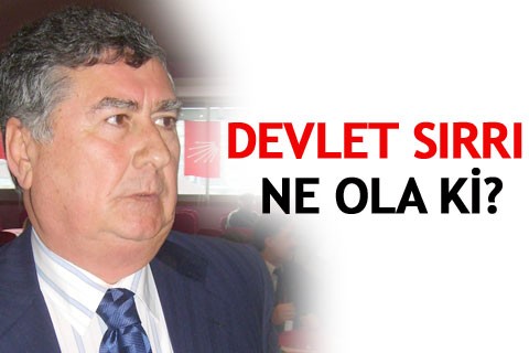 DEVLET SIRRI NE OLA Kİ?