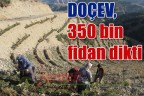 DOÇEV, 350 bin fidan dikti