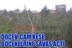 DOÇEV, çam kese böceklerine savaş açtı