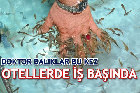 DOKTOR BALIKLAR BU KEZ OTELLERDE İŞ BAŞINDA
