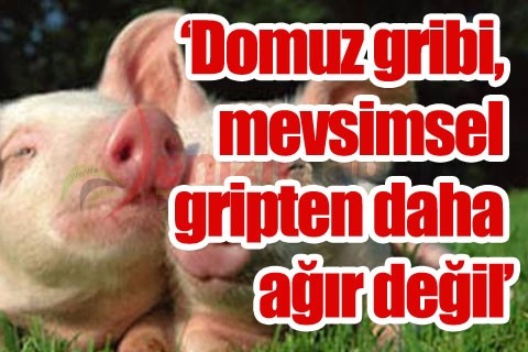 “Domuz gribi, mevsimsel gripten daha ağır değil”