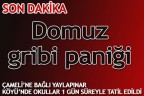 Domuz gribi paniği