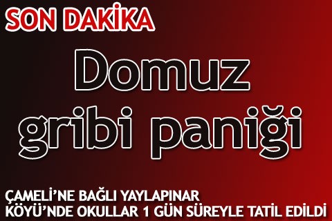 Domuz gribi paniği