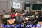 Domuz gribi tartışıldı