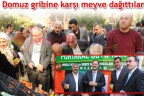 Domuz gribine karşı meyve dağıttılar
