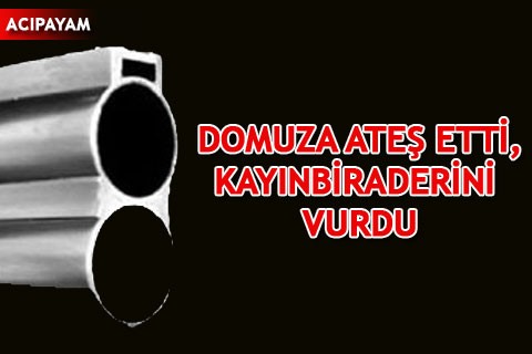 DOMUZA ATEŞ ETTİ, KAYINBİRADERİNİ VURDU