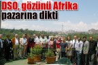 DSO, gözünü Afrika pazarına dikti