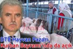 DTB Hayvan Pazarı, Kurban Bayramı’nda da açık