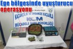 Ege bölgesinde uyuşturucu operasyonu