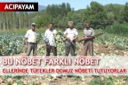 ELLERİNDE TÜFEKLER DOMUZ NÖBETİ TUTUYORLAR
