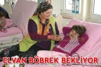 ELVAN BÖBREK BEKLİYOR
