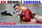 EN RENKLİ YARIŞMA