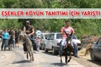 Eşekler köyün tanıtımı için yarıştı