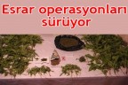 Esrar operasyonları sürüyor